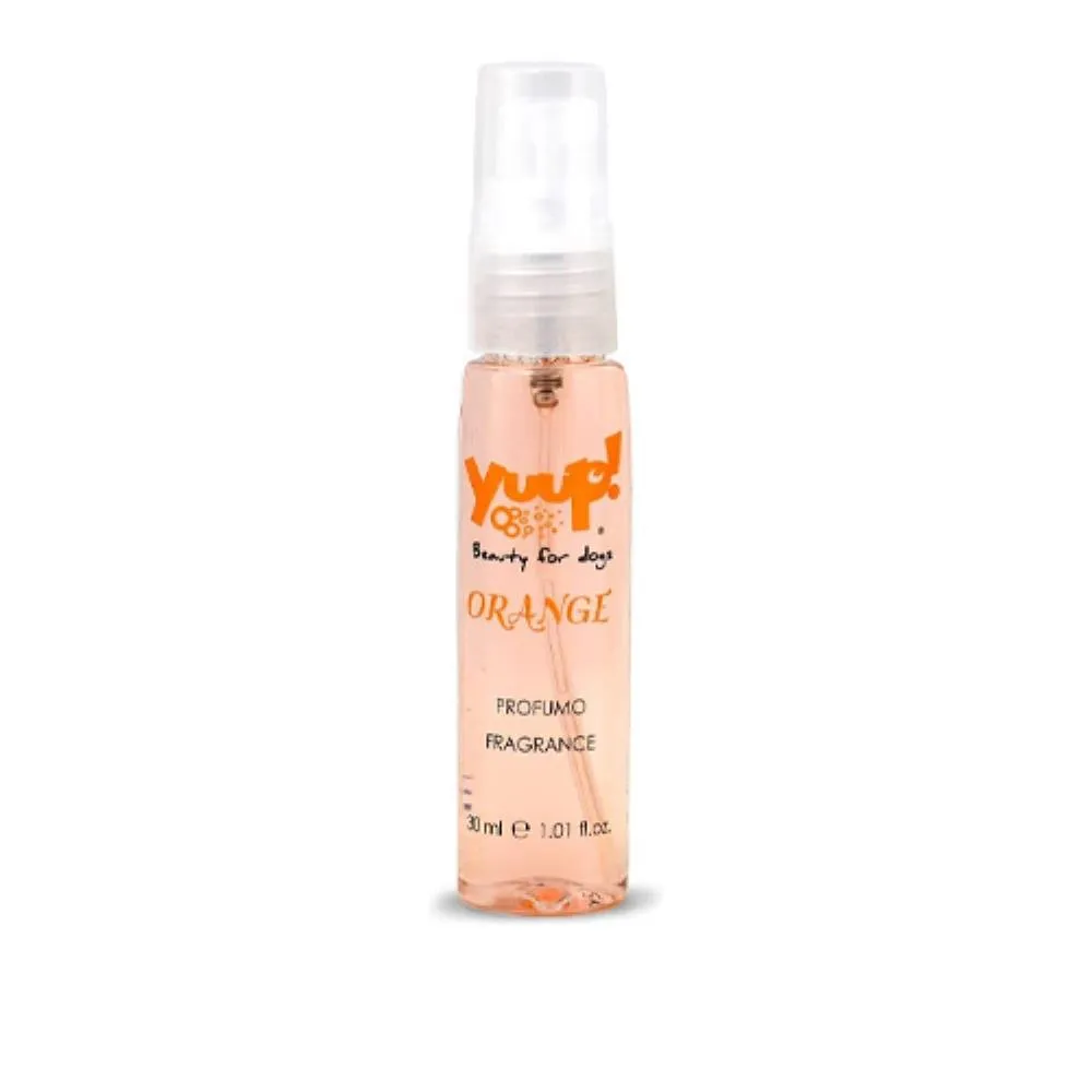 Refil Orange Fragances 30ml