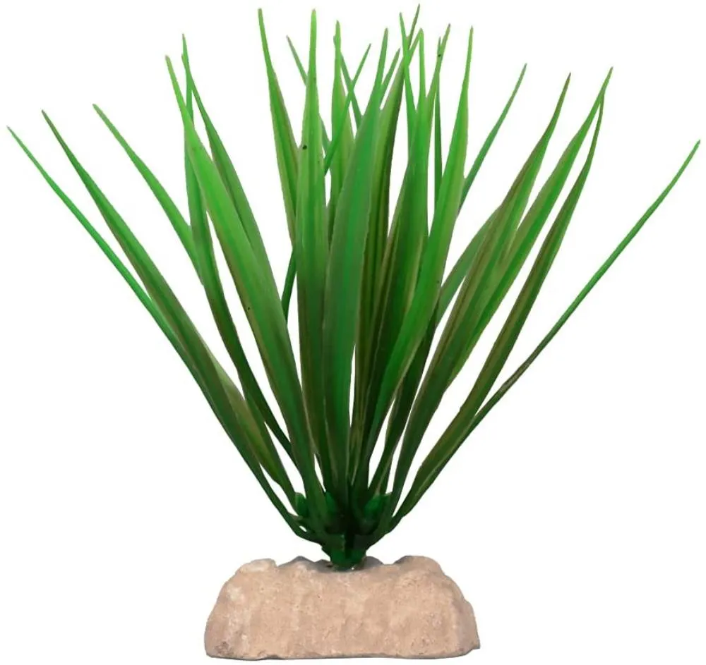Ukras bamboo biljka SM