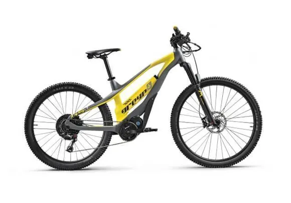 Greyp Električni bicikl G5.1 L