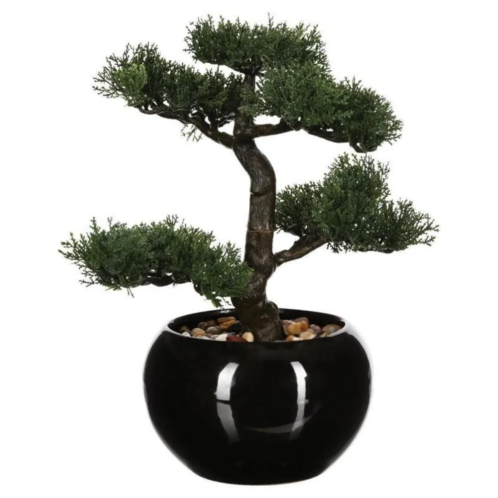 ATMOSPHERA BONSAI U SAKSIJI CRNA