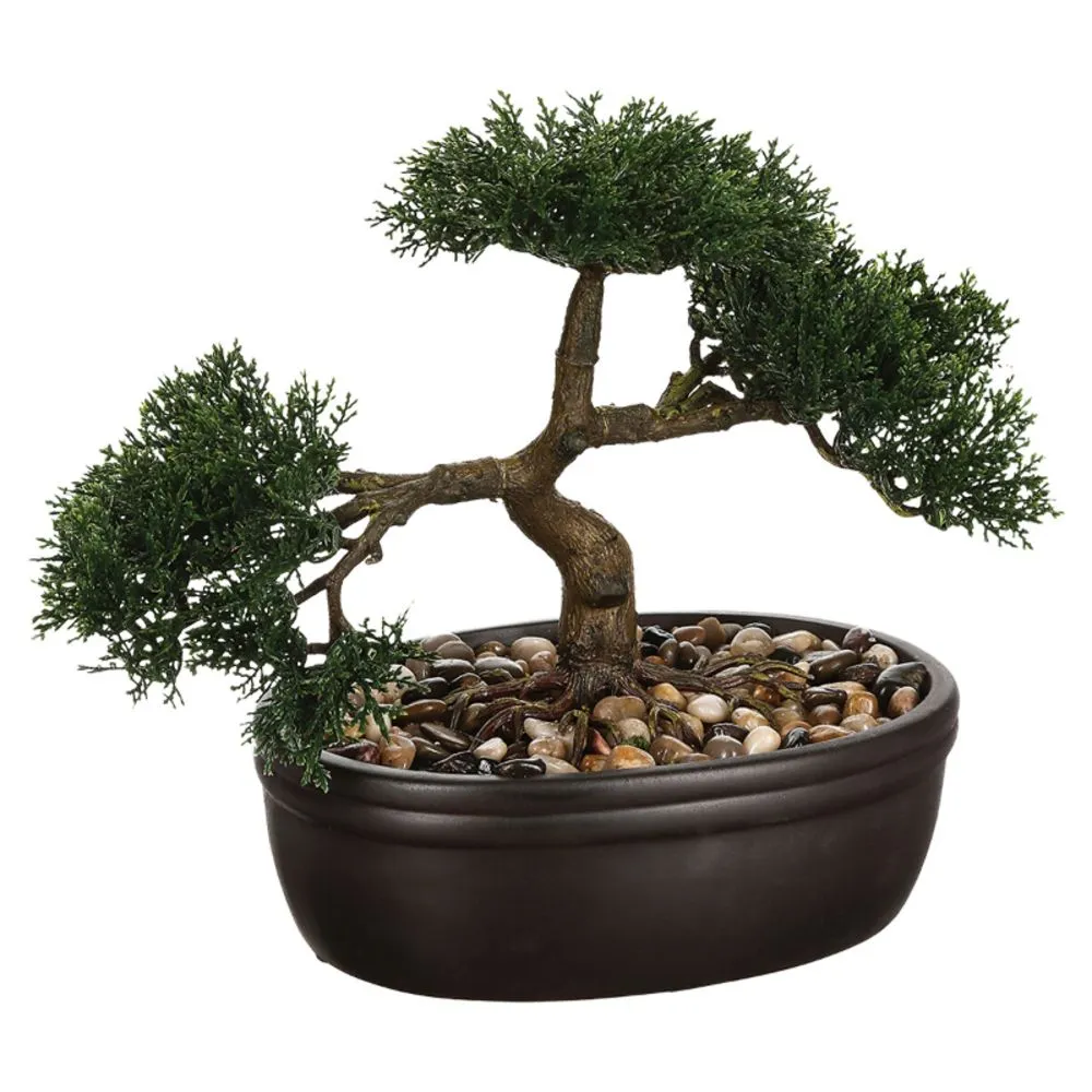 ATMOSPHERA DEKORATIVNO CVEĆE BONSAI H23