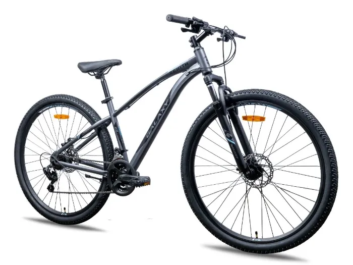 GALAXY BICIKL ZENITH 29"/21 SIVA/CRNA/PLAVA MA