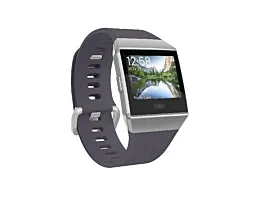 FITBIT Smart sat Ionic FB503WTGY BLUE/GRAY