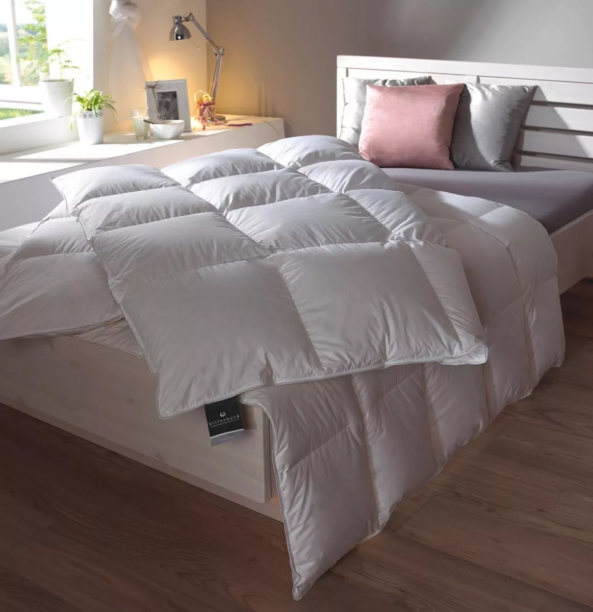 JASTUK  60/80 cm      
