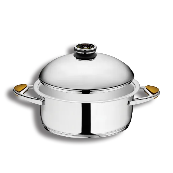 Zepter oval cookware with lid for cooking without fat and water, 6.0 l, 30 x 22 cm, height 13.5 cm, 2 handles